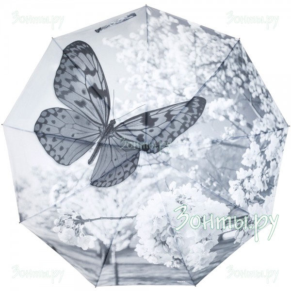 Зонтик с огромным принтом бабочки на куполе River 6107-04