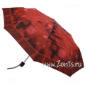 Big Top 305C-07