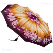 Airton 3955-118