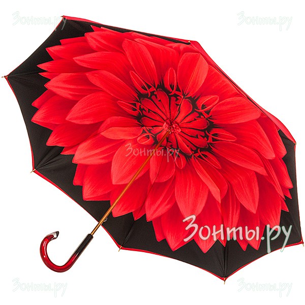 Дизайнерский зонт-трость с двойным куполом Pasotti 0189N 21273/5 G15