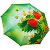 зонт RainLab