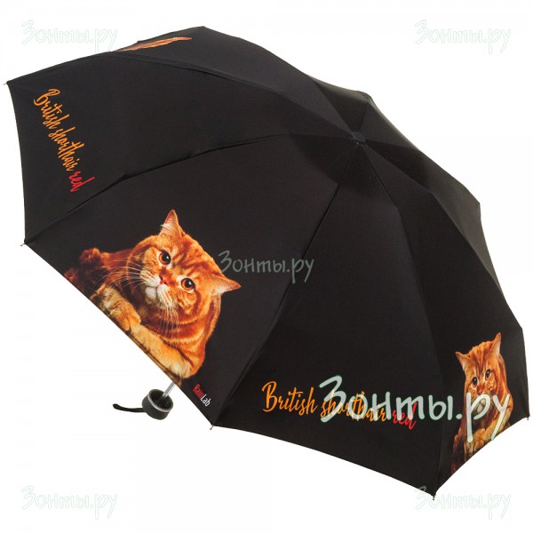 Мини зонтик с британским котом RainLab Cat-029 mini BritishBrown механика