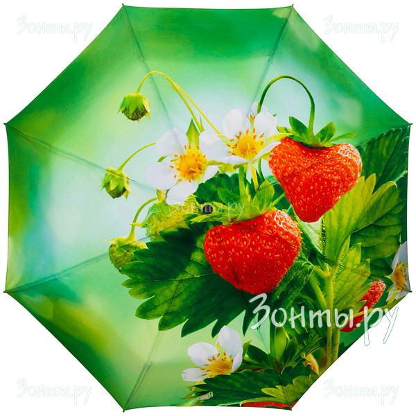 Зонтик с ягодами клубники RainLab 017 Standard