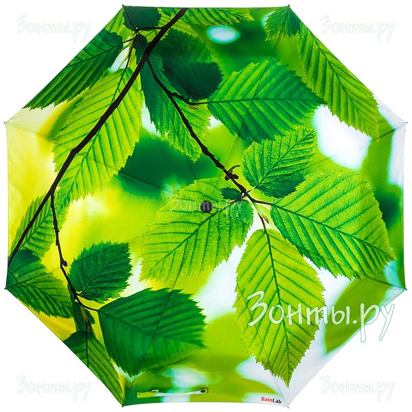 Зонтик с фото принтом листьев RainLab Fl-004 ElmLeaves