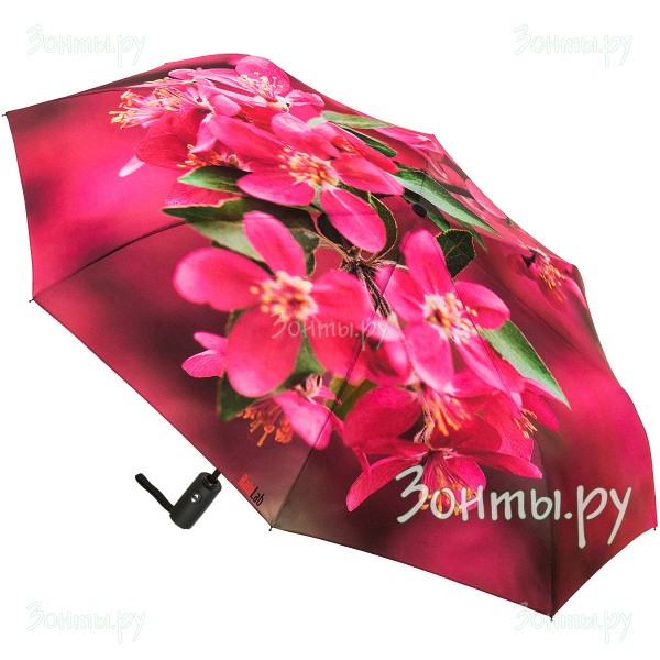 Зонтик с принтом миндаля RainLab Fl-011 AlmondFlowers