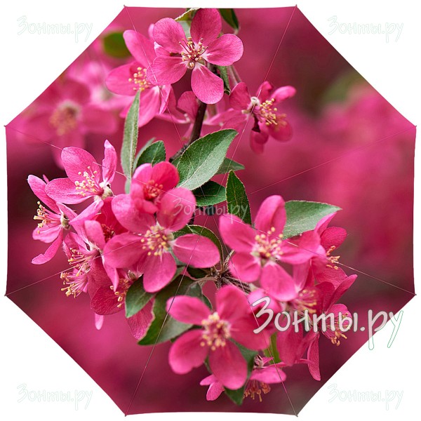 Зонтик с принтом миндаля RainLab Fl-011 AlmondFlowers