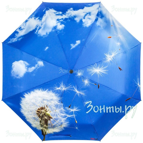 Зонтик с принтом одуванчика RainLab Fl-013 Dandelion