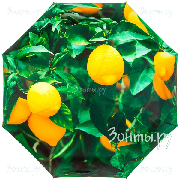 Зонтик с принтом лимонов RainLab Fl-014 Lemon
