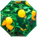 RainLab Fl-014 Lemon