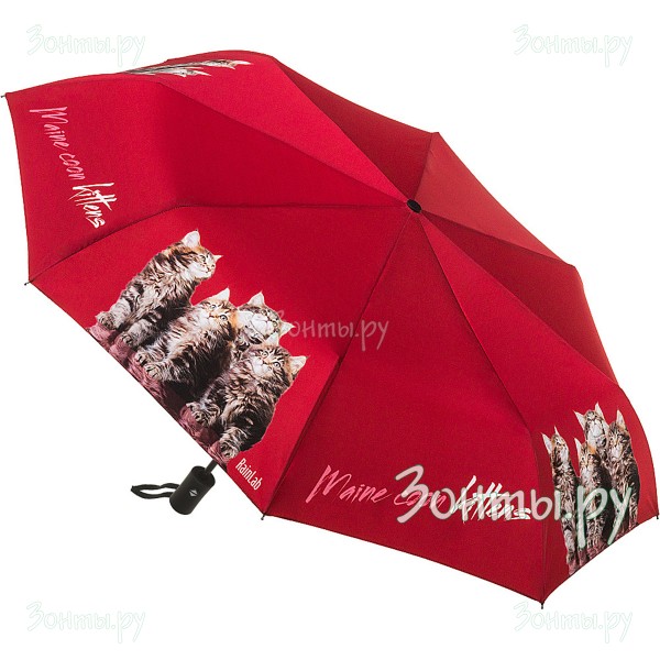 Зонтик с котятами породы Мейн-Кун RainLab 040 MeikunKittens