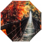 RainLab Pi-056 Bridge