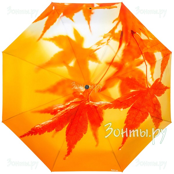 Зонт с желтыми листьями клёна RainLab 079 Standard