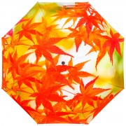 RainLab Fl-080 AutumnLeaves