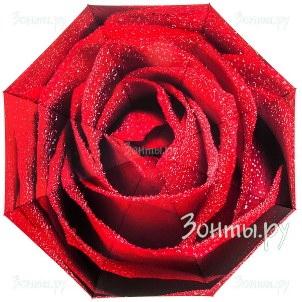 Зонтик с принтом красной розы RainLab 058 Standard