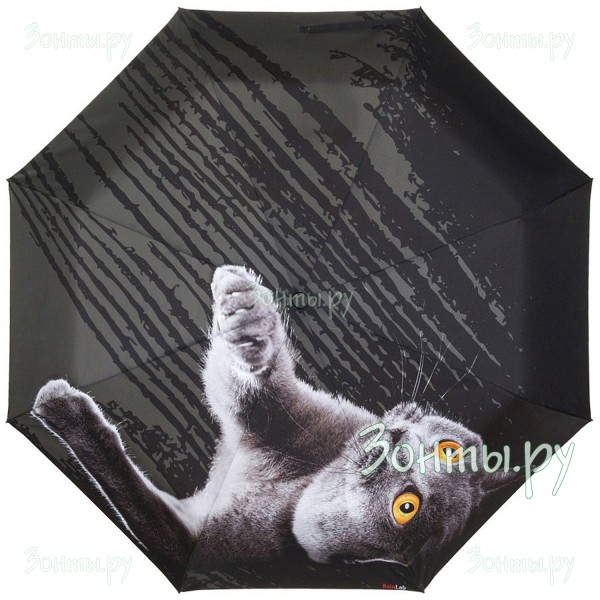 Зонтик с принтом британского кота RainLab 087 Standard