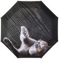 RainLab Cat-087 BritishShorthair