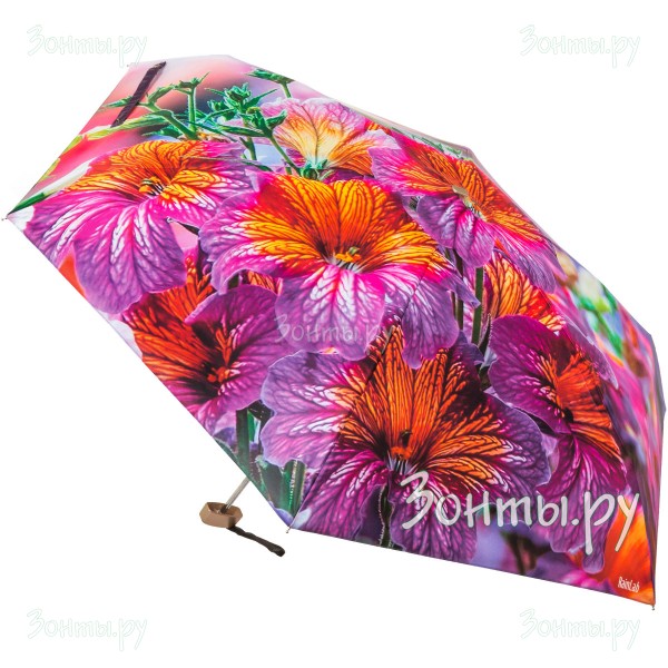 Плоский мини зонтик с цветками бархатных сальпиглоссисов RainLab Fl-072 MiniFlat
