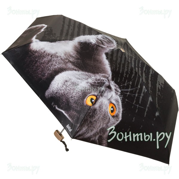 Плоский мини зонтик с принтом британского кота RainLab 087MF BritishShorthair