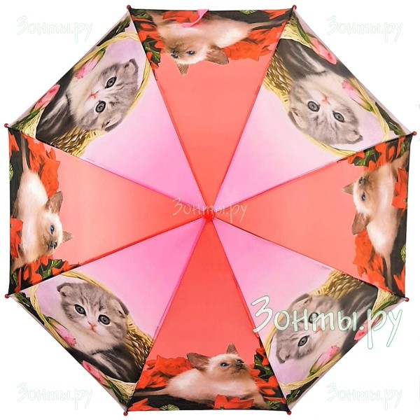 Зонтик с котятами Diniya 366-05
