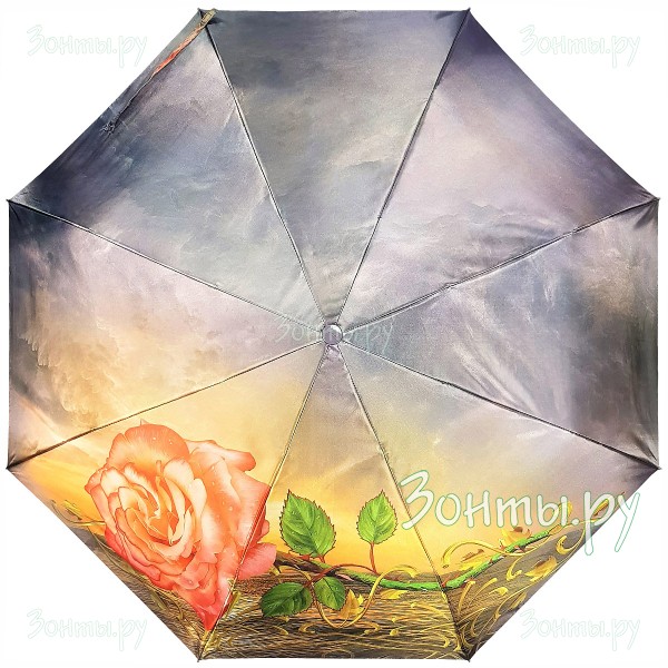 Зонтик Diniya 901-04