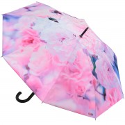 RainLab Fl-007 Auto