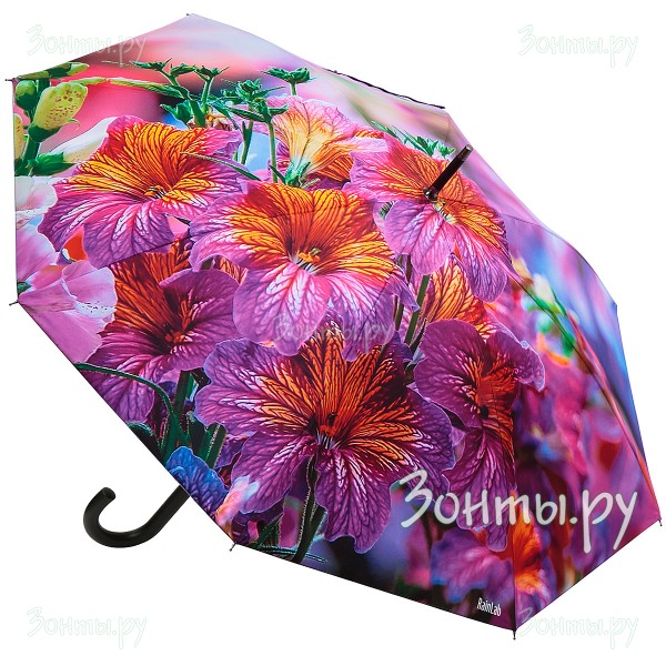 Зонт трость с бархатными сальпиглоссисами фоне RainLab Fl-072 Auto