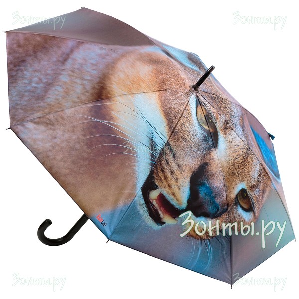 Зонт трость с принтом степного каракала RainLab Cat-044 Auto