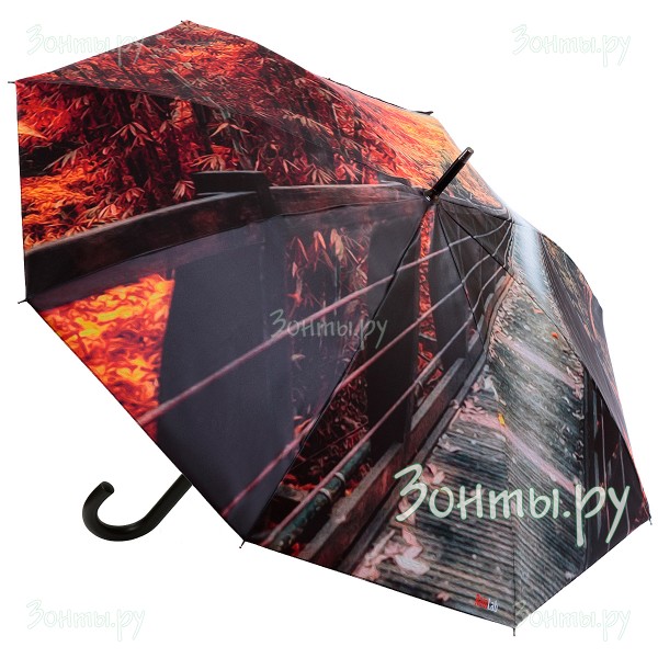 Зонт трость с фото принтом мостика RainLab Pi-056 Auto