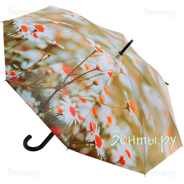 Зонт трость с принтом ромашкового поля RainLab Fl-059 Auto