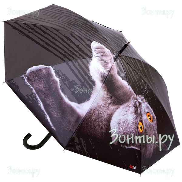 Зонт трость с принтом британского кота RainLab Cat-087 Auto