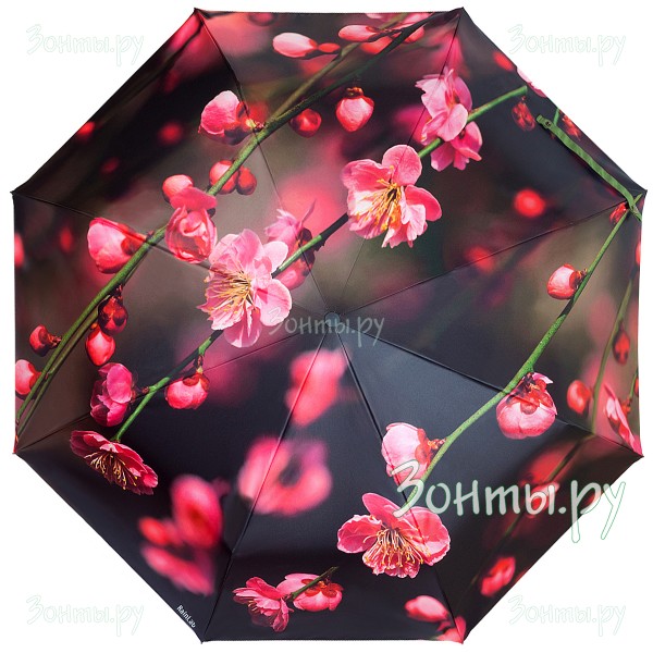 Зонтик с принтом цветущей сакуры RainLab 142 Standard