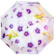 RainLab Fl-144 Phloxes