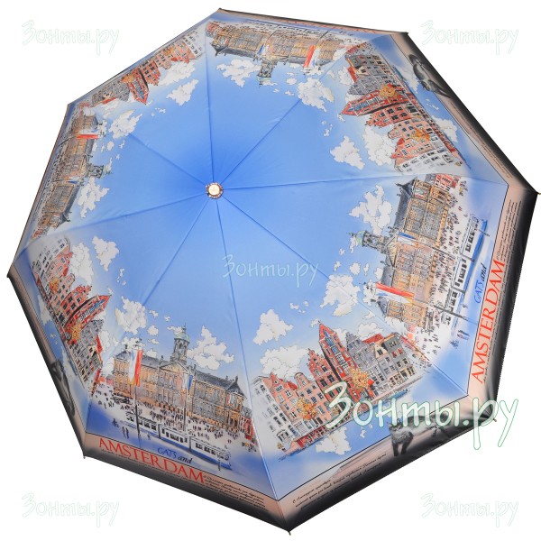 Зонтик для женщин Три слона L3844-06A полный автомат