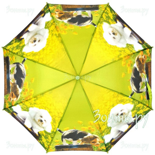 Зонтик с котятами Diniya 366-07