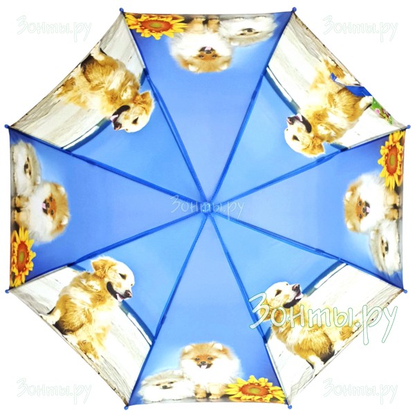 Зонтик с котятами Diniya 366-08