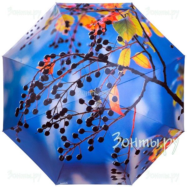 Зонтик с принтом черемухи RainLab 154 Standard
