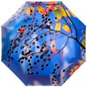 RainLab Fl-154 AutumnBirdCherry