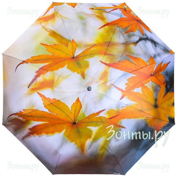 Зонтик с фото-принтом осенних листьев RainLab 156 Standard
