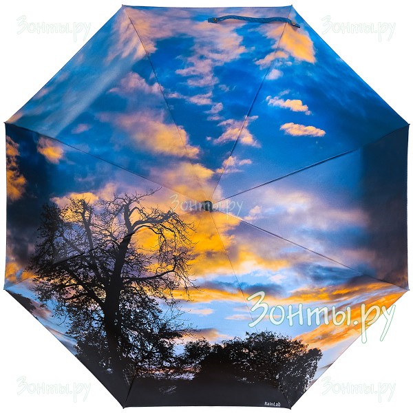 Зонтик с фото-принтом осеннего неба RainLab 159 Standard