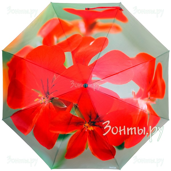 Зонтик с фото-принтом красных пеларгоний RainLab 163 Standard