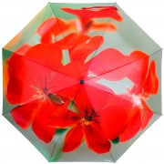 RainLab Fl-163 Pelargonium