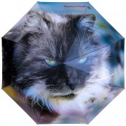RainLab Ani-164 DomesticCat