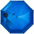 RainLab Pi-182 Phantom