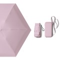 RainLab Bag Pink