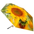 RainLab 148MF SunFlower