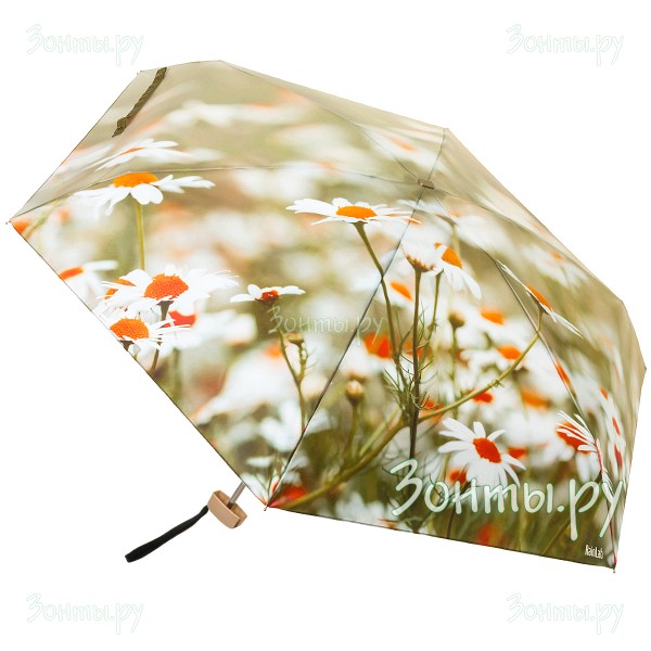 Плоский мини зонтик с изображением ромашкового поля RainLab 059MF Chamomiles