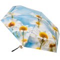 RainLab 149MF Daisies