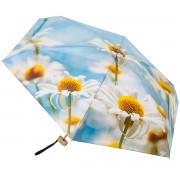 RainLab 149MF Daisies