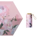 RainLab Flo-004