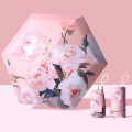 RainLab Flo-006